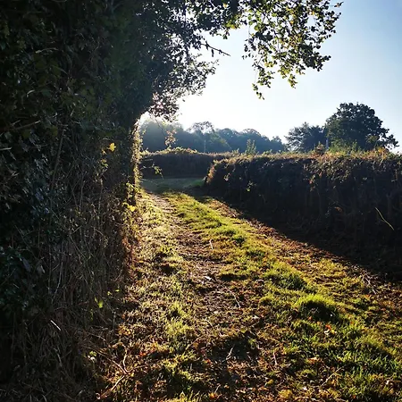 Du Domaine Des Garde-bousset 펜션 La Cellette (Puy-de-Dome)
